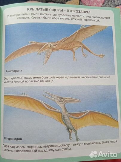 Энциклопедия тайны моря