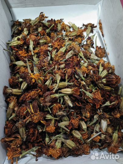 Семена бархатцы домашние