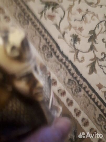 Статуэтка старинная, антикварная