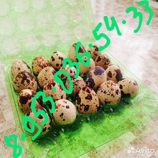 Яйца перепелиные домашние