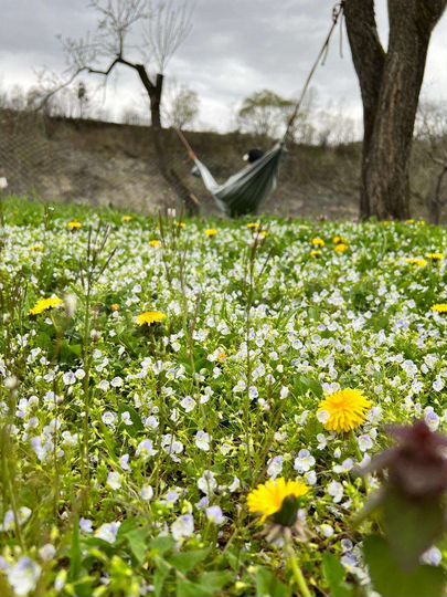 Дом 120 м² на участке 17 сот.