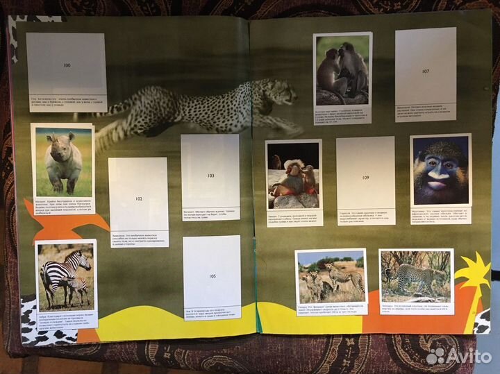 Альбом для наклеек Мир Живого