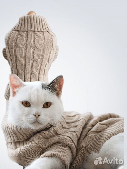 Кофта для кота, Свитер для собаки