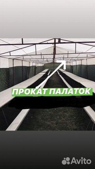 Прокат палаток