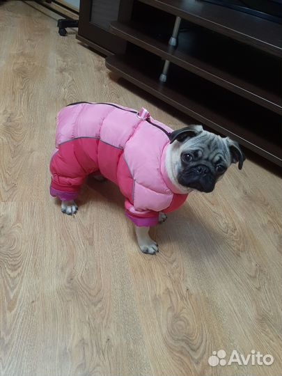 Комбинезон зимний теплый для собак