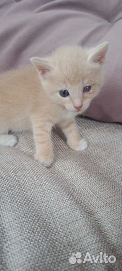 Милый малыш