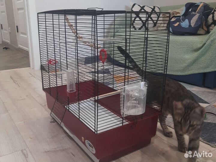 Клетка для среднего попугая