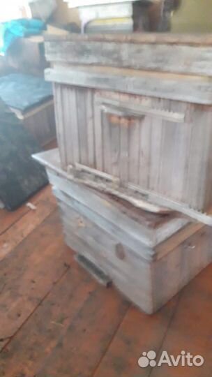 Улья и магазины