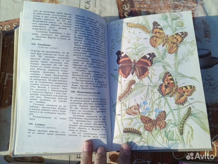 Школьный атлас - определитель беспозвоночных