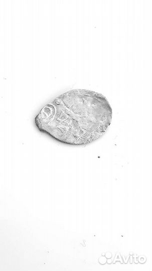 Чешуйка, монета-царь Василий-3