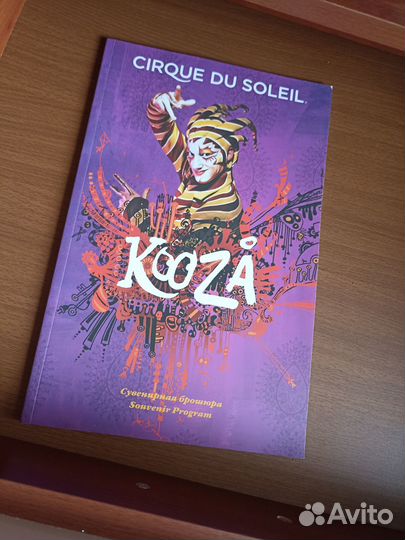 Брошюра Цирк дюсолей