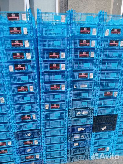 Пластиковые ящики для хранения