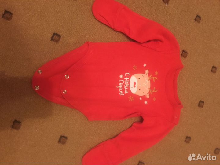 Бодди новогодний