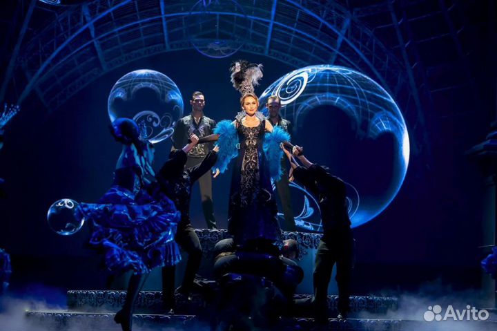 Билеты на мюзикл 