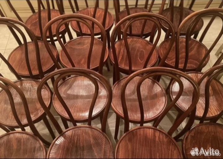 Аренда венские стулья