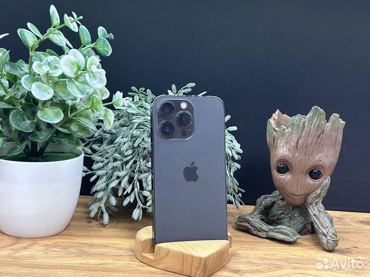 iPhone 13 Pro, 256 ГБ