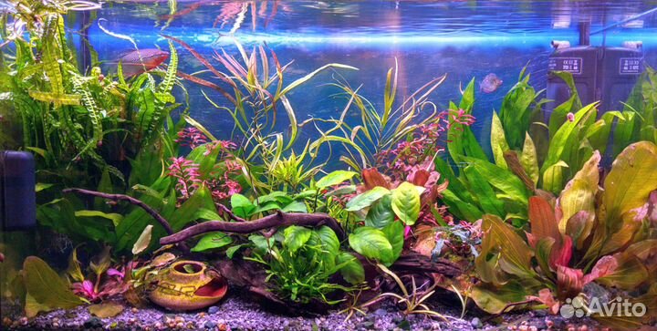 LED светильники (лампы) для аквариума