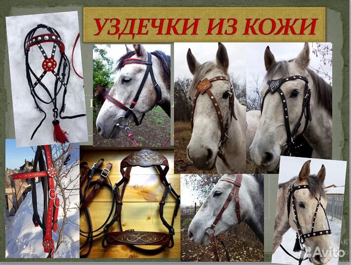 Амуниция для лошадей