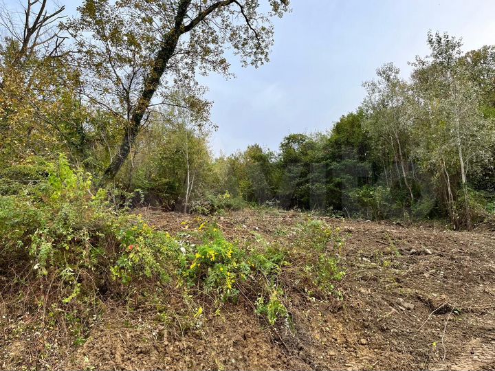 Участок 17 сот. (СНТ, ДНП)