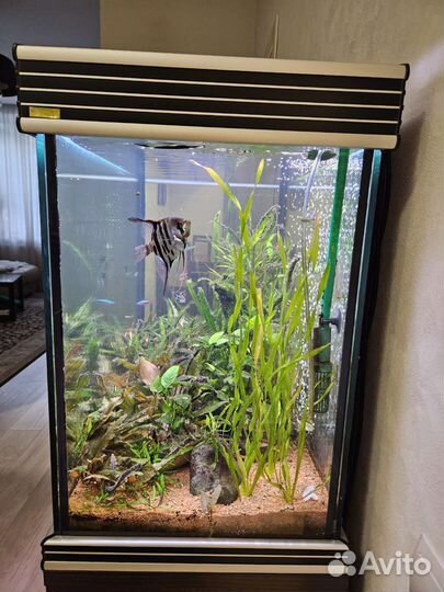 Аквариум