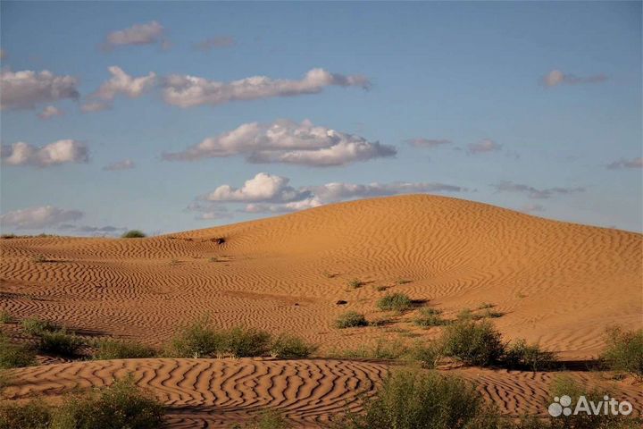 Экскурсии. Бархан Большой Брат, Тинаки-1, Элиста