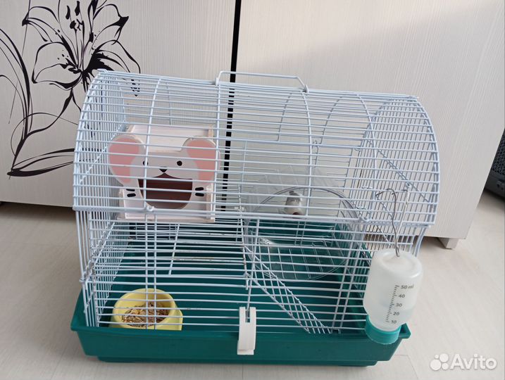 Джунгарский хомяк с клеткой