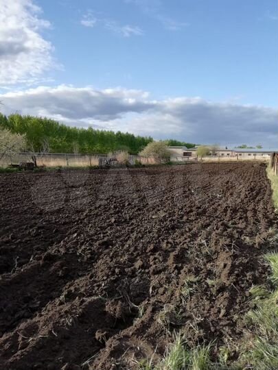 Участок 15 сот. (ИЖС)