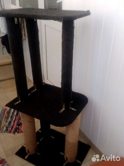 Когтеточка