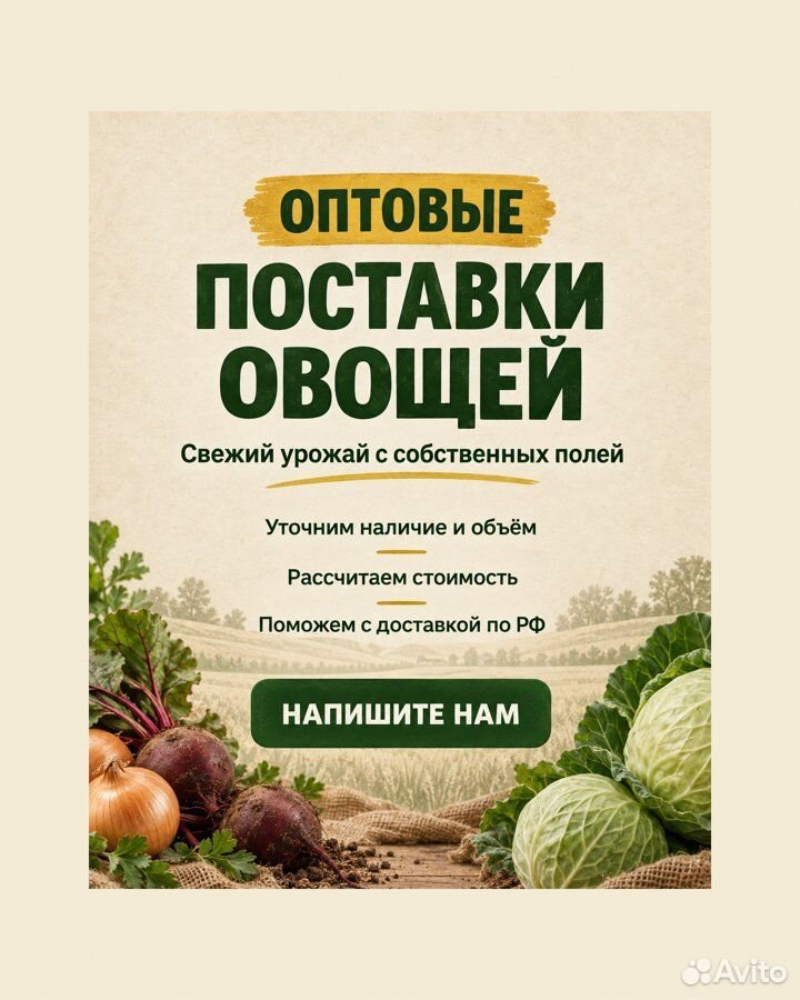 Лук на перо штутгарт, Астрахань