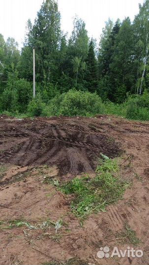 Приму грунт. Много