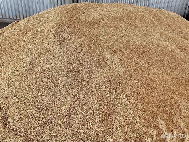 Зерно пшеница ячмень