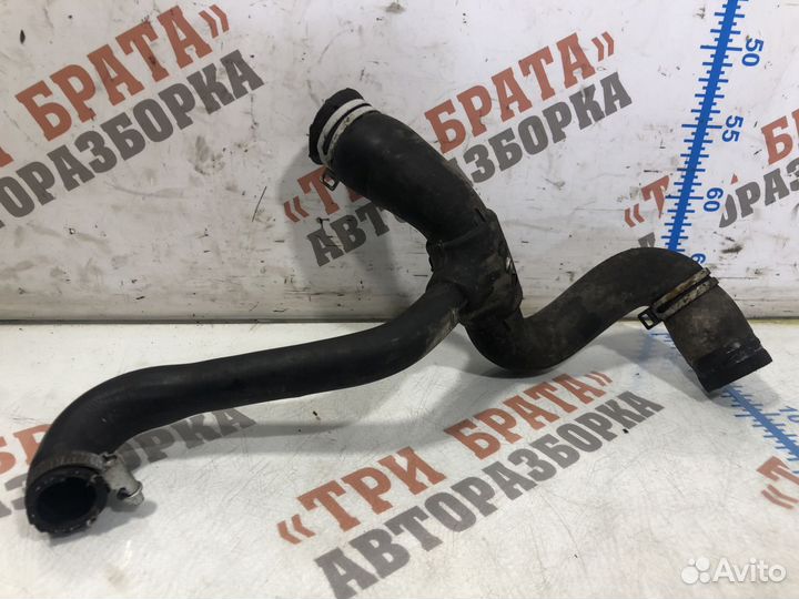 Форд Фокус Патрубок радиатора нижний