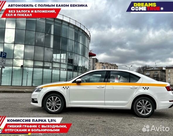 Аренда авто Skoda octavia