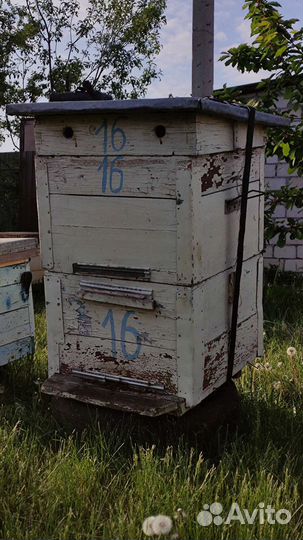 Ульи дадан 12 рамочный