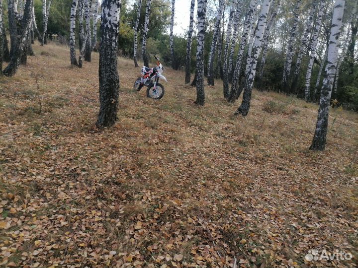 Пит байк kayo tt125em