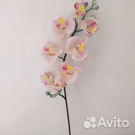 Орхидея искусственная Икеа
