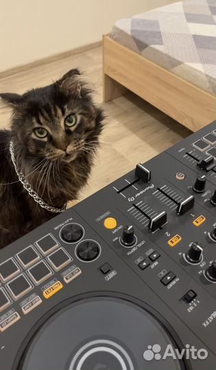Dj контроллер Pioneer ddj flx4