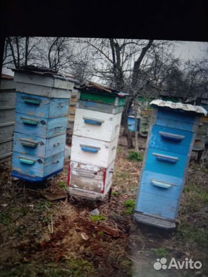 Улей для пчел бу