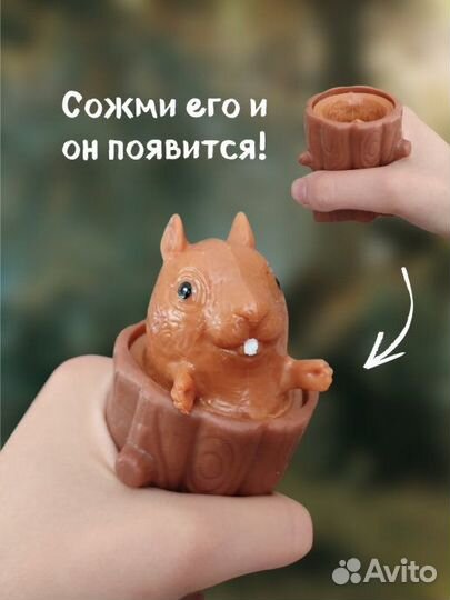 Белка в дупле