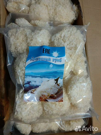 Грибы Коралловые белые, сушеные 1 кг