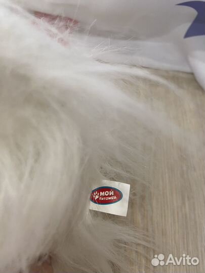 Интерактивная собака