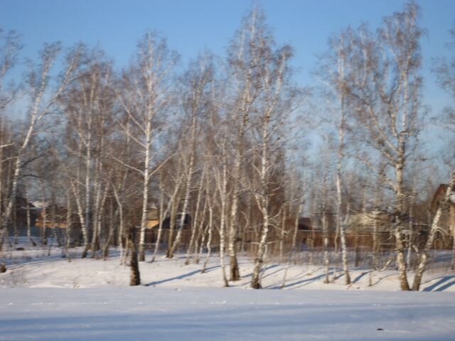 Участок 8 сот. (ИЖС)