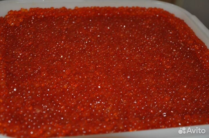 Икра Кижуч Камчатка 2023