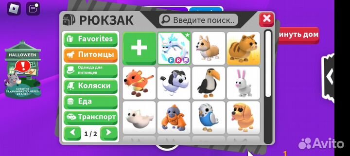 Петы в адопт ми деньги