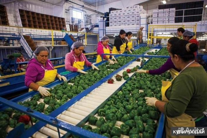 Работа сортировщик Вахта