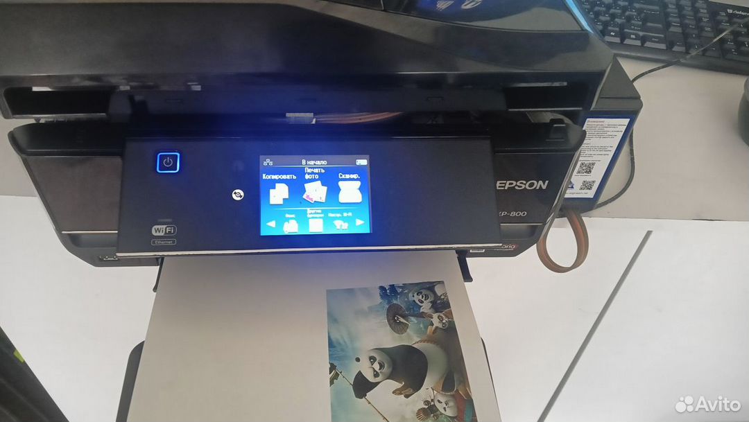 Epson XP800