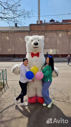 Поздравление Белого Мишки Зайца или Зайки Аниматор