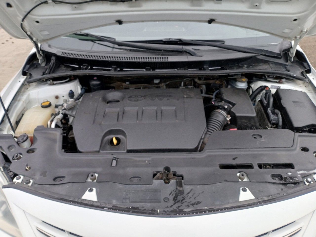 Toyota Corolla: фото владельца