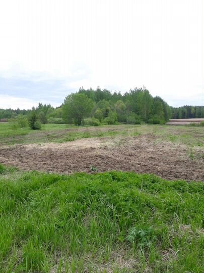 Участок 35 сот. (ИЖС)