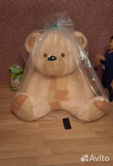 Медведь большой